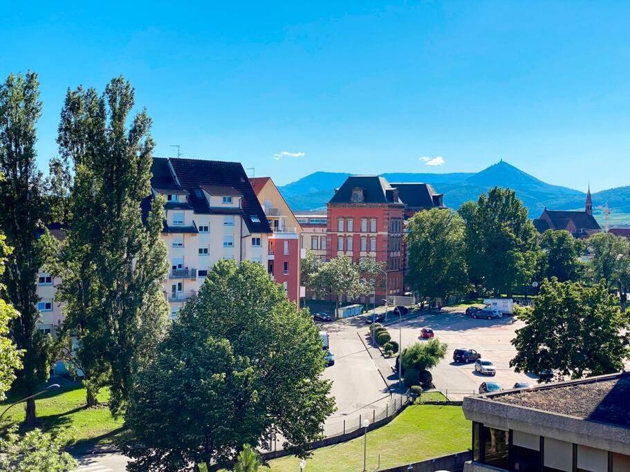 Le Belvedere Alsacien Apartment