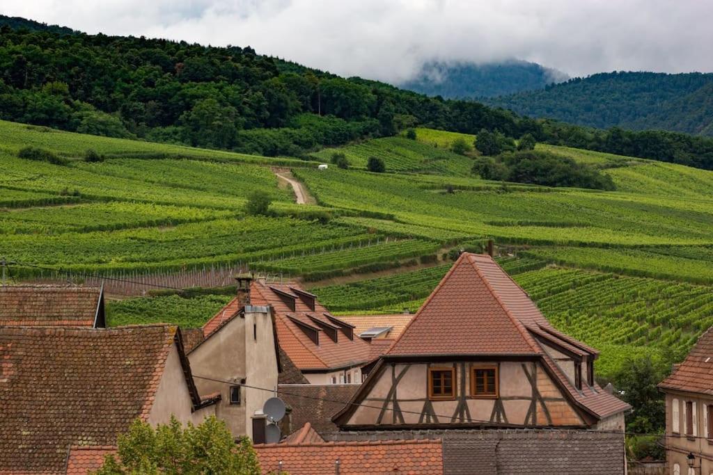 Le Belvedere Alsacien Sélestat